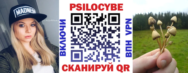 Купить где  Дно  Галлюциногенные грибы GOLDEN TEACHER 